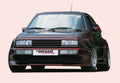 Rieger Türaufsatz Breitbau II für VW Golf 2