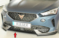 Rieger Spoilerschwert für Cupra Formentor (KM)