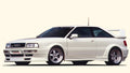Rieger Kotflügel Breitbau II (RT02) für Audi 80 Typ 89 Coupé