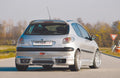 Rieger Seitenschweller für Peugeot 206 Cabrio CC
