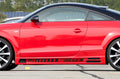 Rieger Seitenschweller für Audi TT (8J) Coupé