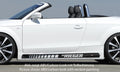 Rieger Seitenschweller für Audi TT (8J) Coupé