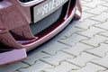 Rieger Spoilerschwert für BMW Z4 (E85) Coupé
