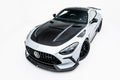 Maxton Design Prepreg Carbon Fiber Bodykit passend für Mercedes-AMG GT 63 / 55 / 63 S E Performance C192