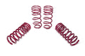 Vogtland Sportfedernsatz für Ford Mustang SN-95 (Bj. 1999–2002)