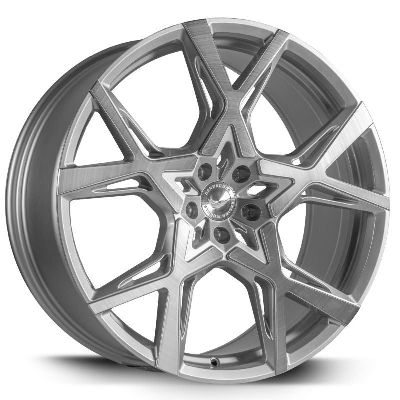 BARRACUDA PROJECT X Silver-brushed-Surface 10x22 ET20 112