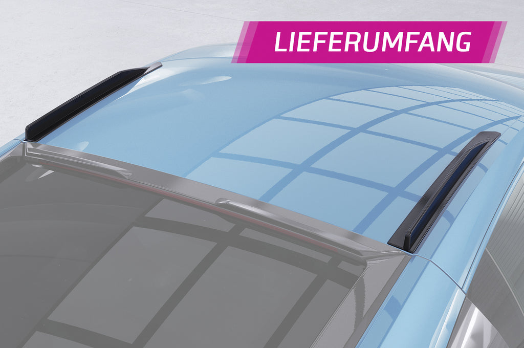CSR Dachfinnen mit ABE für Audi R8 (Typ 4S) Coupe DF001