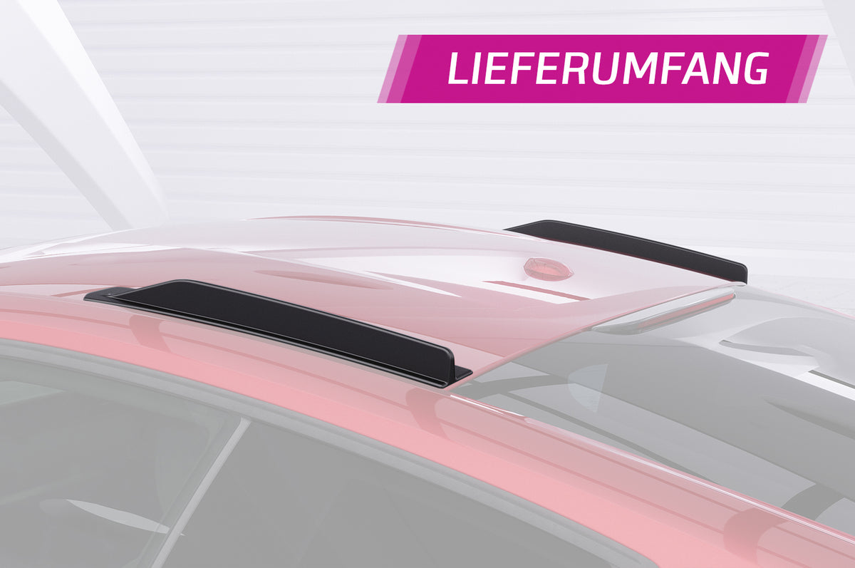 CSR Dachfinnen mit ABE für Ford Mustang MK6 Coupe / Fastback DF008