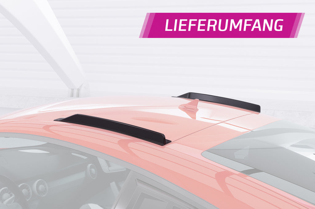CSR Dachfinnen mit ABE für Audi TT / TTS / TTRS FV 8S Coupe DF014