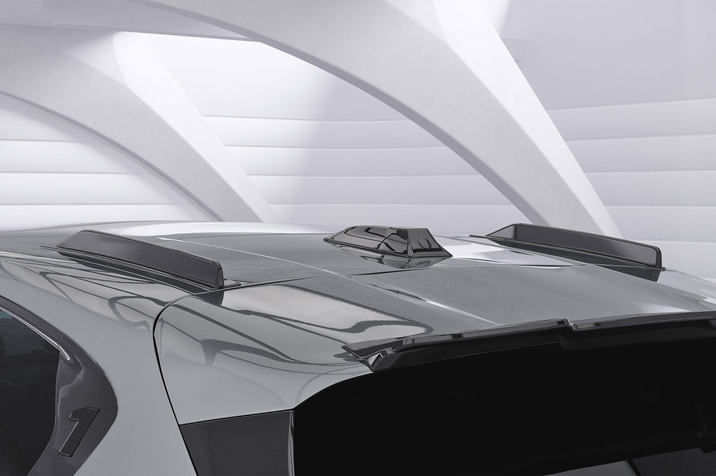 CSR Dachfinnen mit ABE für BMW 1er F70 DF015