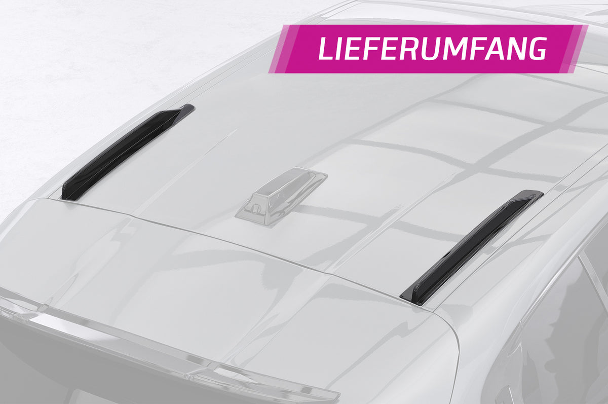 CSR Dachfinnen mit ABE für BMW 1er F70 DF015