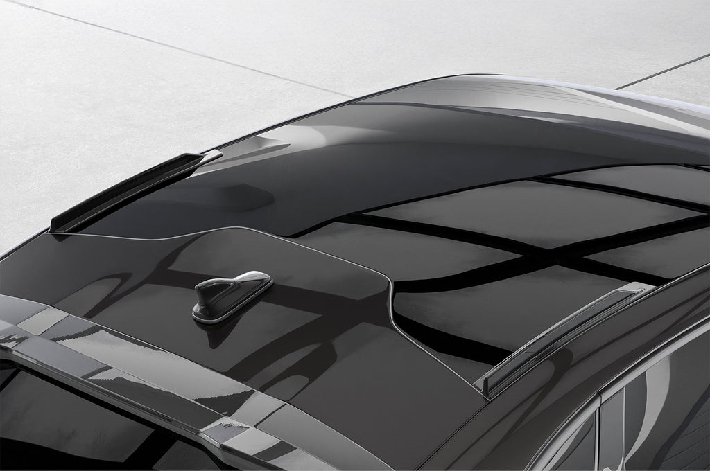 CSR Dachfinnen mit ABE für Cupra Tavascan DF020