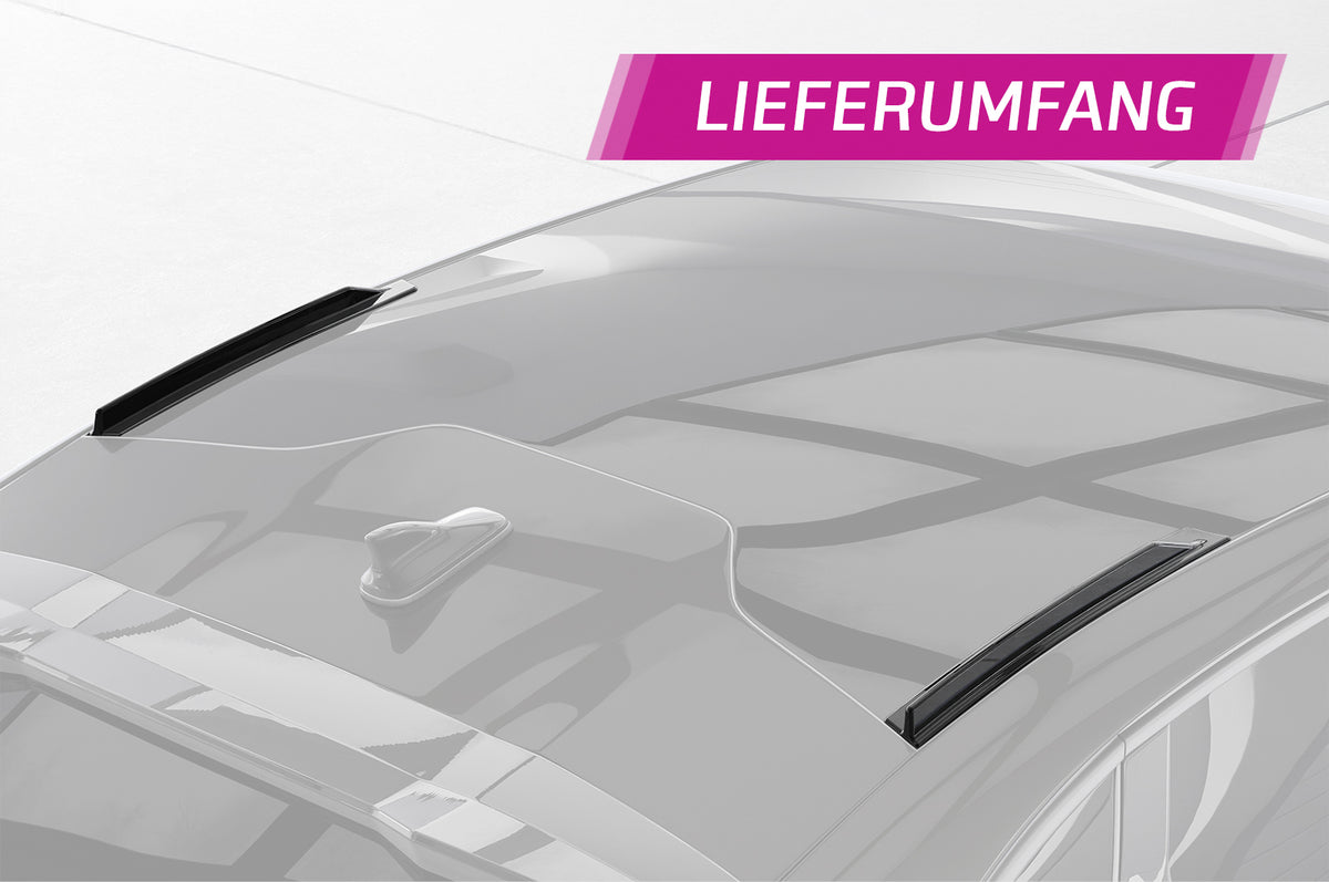 CSR Dachfinnen mit ABE für Cupra Tavascan DF020