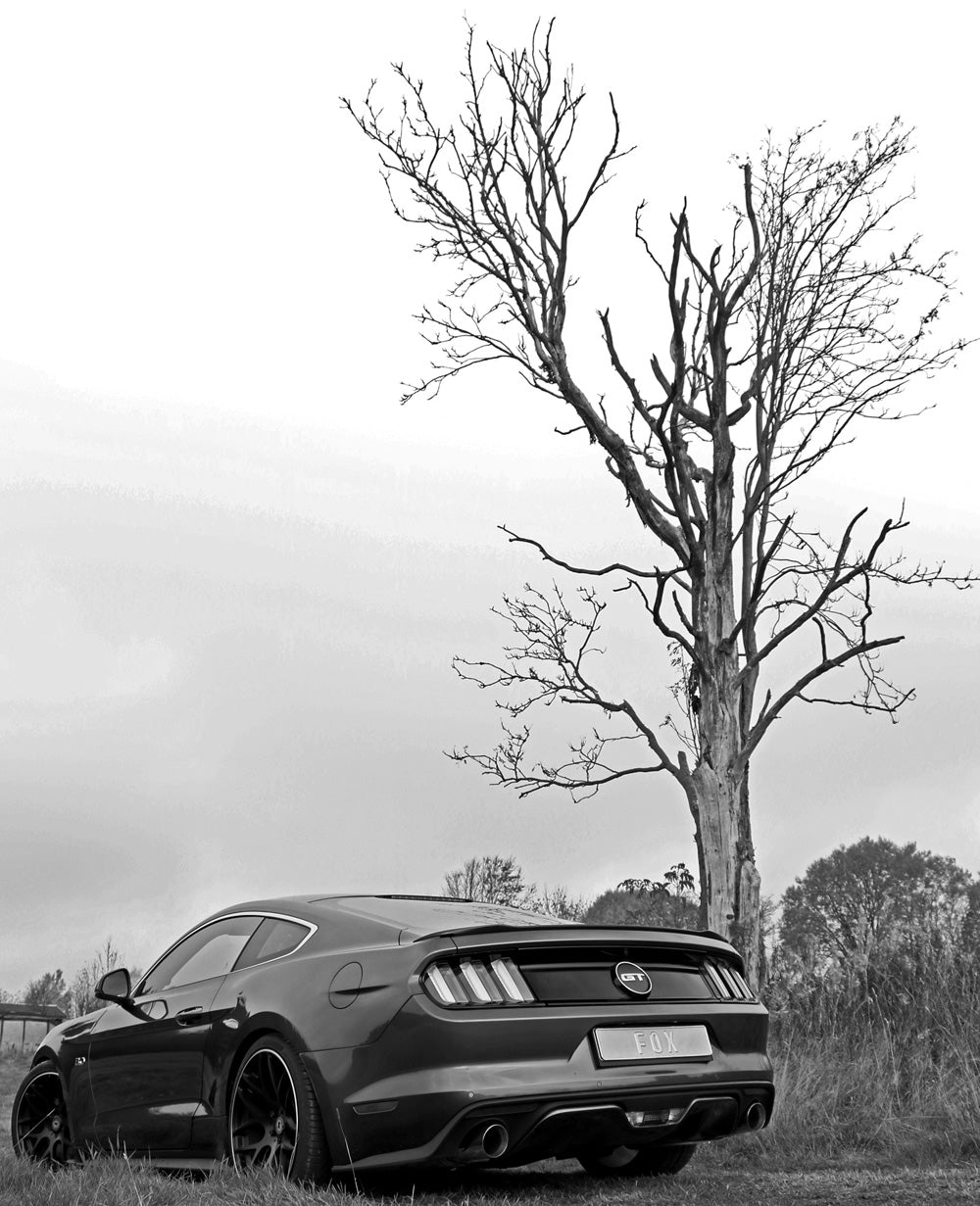 Fox passend fürFord Mustang Coupe & Cabrio - 4-Zylinder Endschalldämpfer rechts/links - 1x100 Typ 25 rechts/links