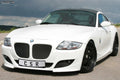 CSR Frontstoßstange für BMW Z4 Typ E85 FSK372