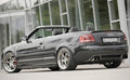 Fox passend für Rieger Heckansatz Audi A4 8H A4 (8H): 04.02-12.05 (bis Facelift), 01.06- (ab Facelift) | Cabrio - ABS schwarz glänzend inkl. Alugitter, Montagezubehör, Gutachten