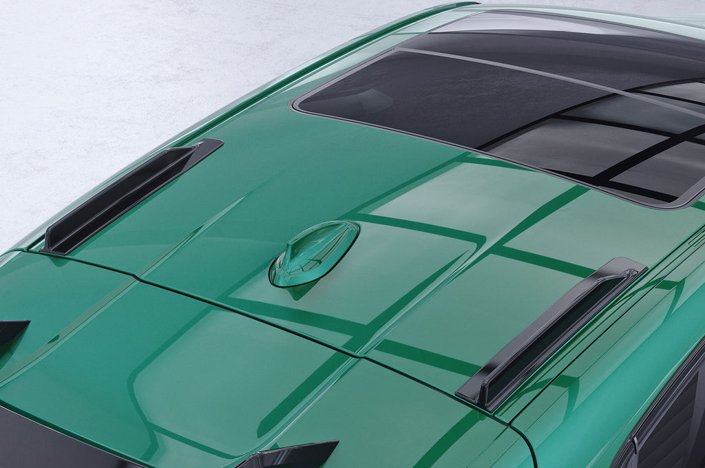 CSR Dachfinnen mit ABE für BMW 1er F40 DF038