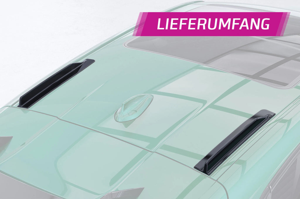 CSR Dachfinnen mit ABE für BMW 1er F40 DF038