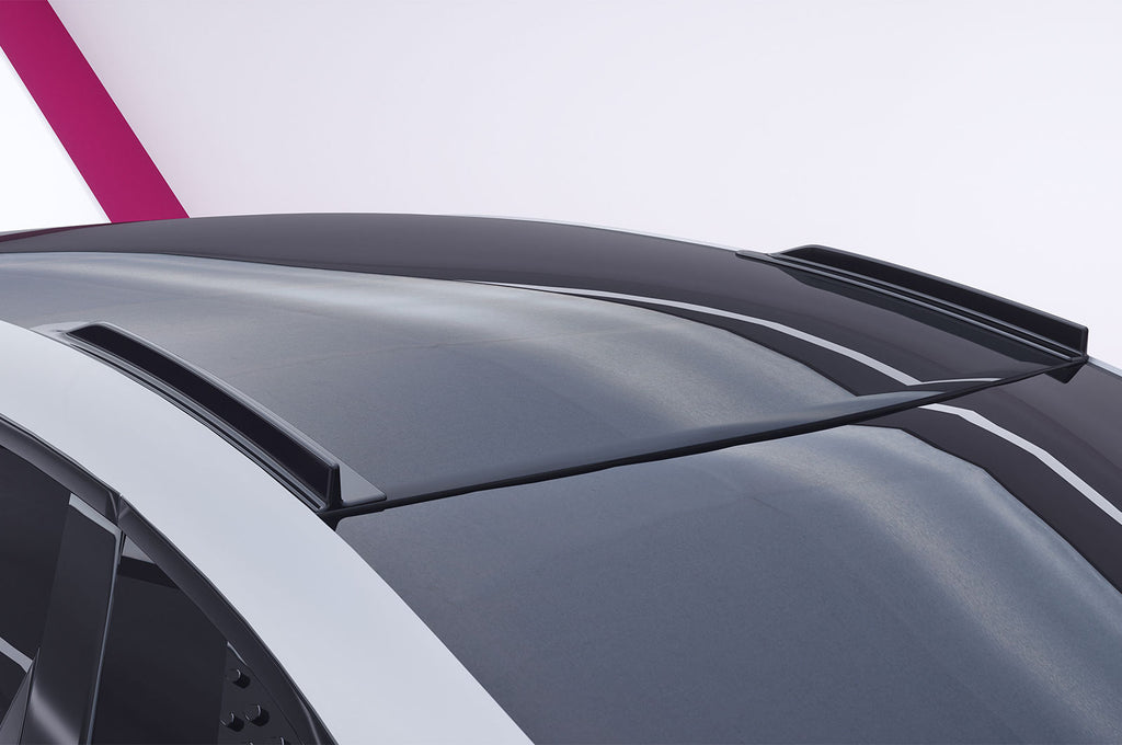 CSR Dachfinnen mit ABE für BYD Seal DF057