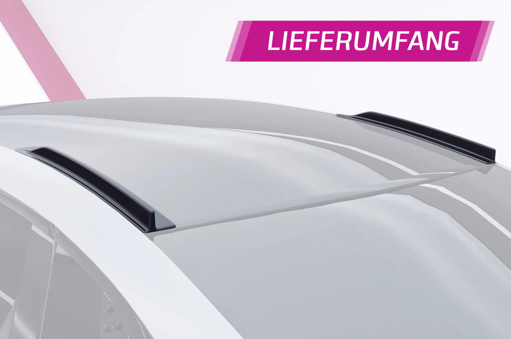 CSR Dachfinnen mit ABE für BYD Seal DF057