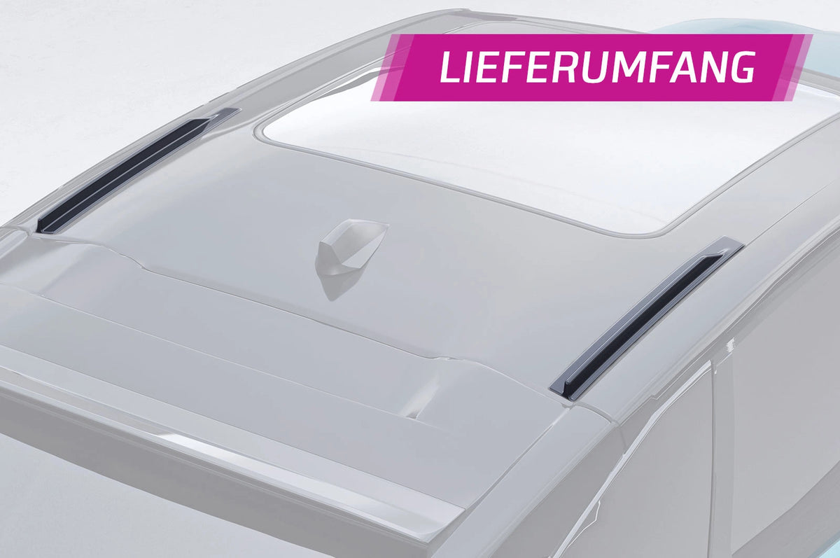 CSR Dachfinnen mit ABE für Peugeot 3008 (3. Gen) / E-3008 DF044