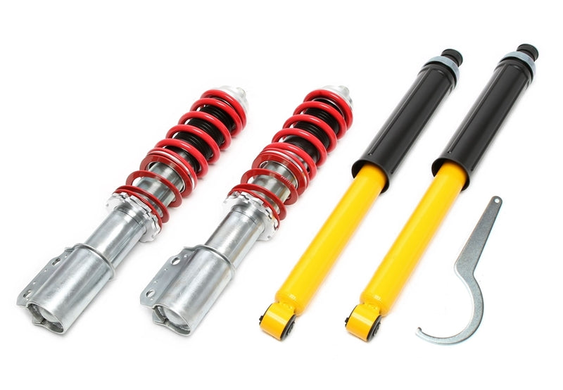 TA Technix Gewindefahrwerk - Deep Version für Renault R19 I+II, -Chamade, -Cabriolet