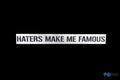Fox Edelstahlplatte "Haters make me famous" 300x33mm