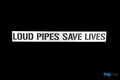 Fox Edelstahlplatte "loude pipes save lives" 300x33mm