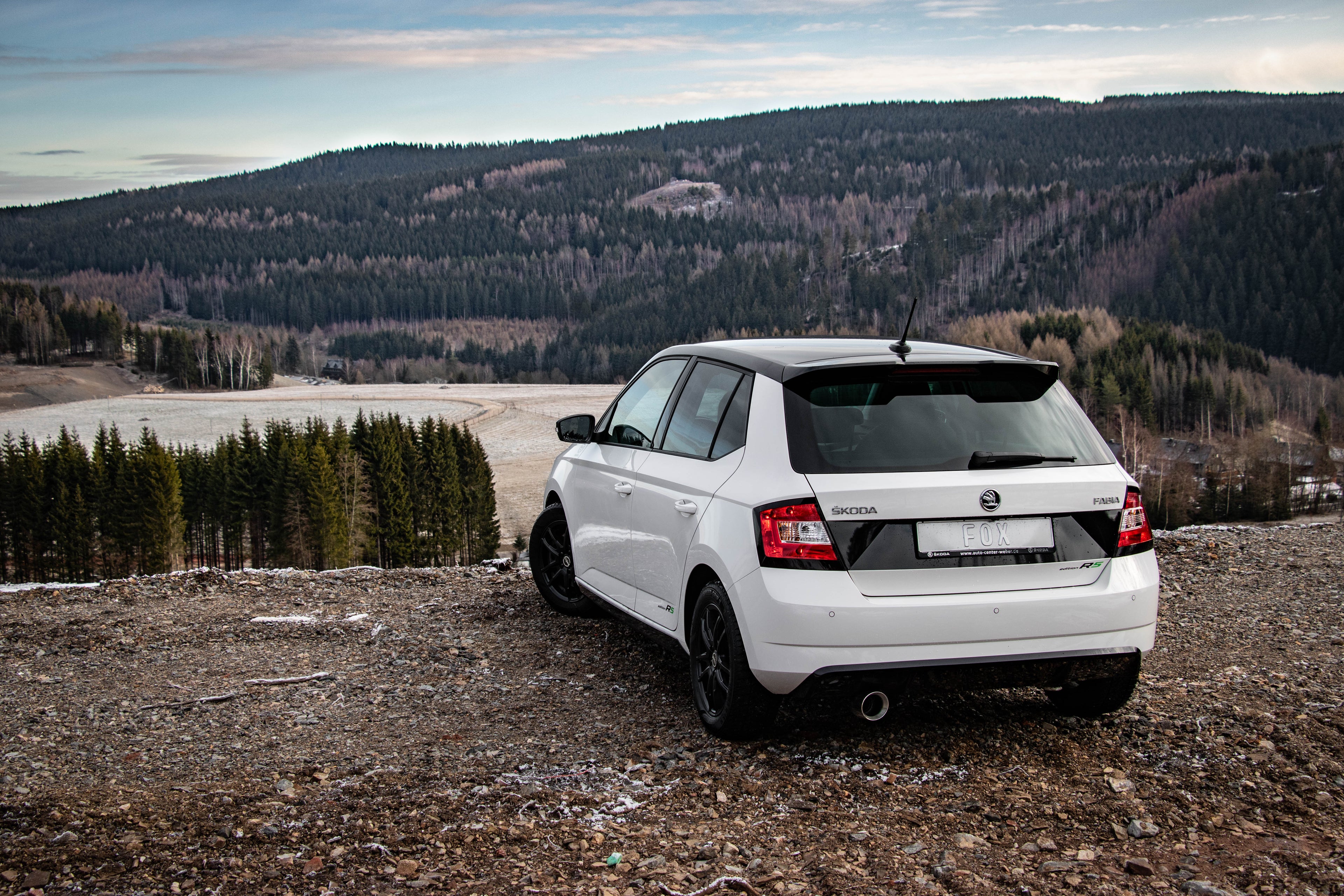 Fox passend für Skoda Fabia NJ R5 Edition Endschalldämpfer - 1x100 Typ 25
