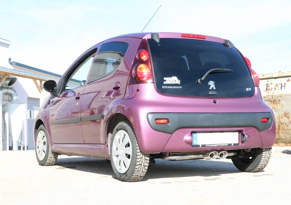 Fox passend fürCitroenC1/ Peugeot 107/ Toyota Aygo Endschalldämpfer Ausgang mittig - 2x106x71 Typ 33